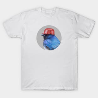 Blue-and-white flycatcher T-Shirt